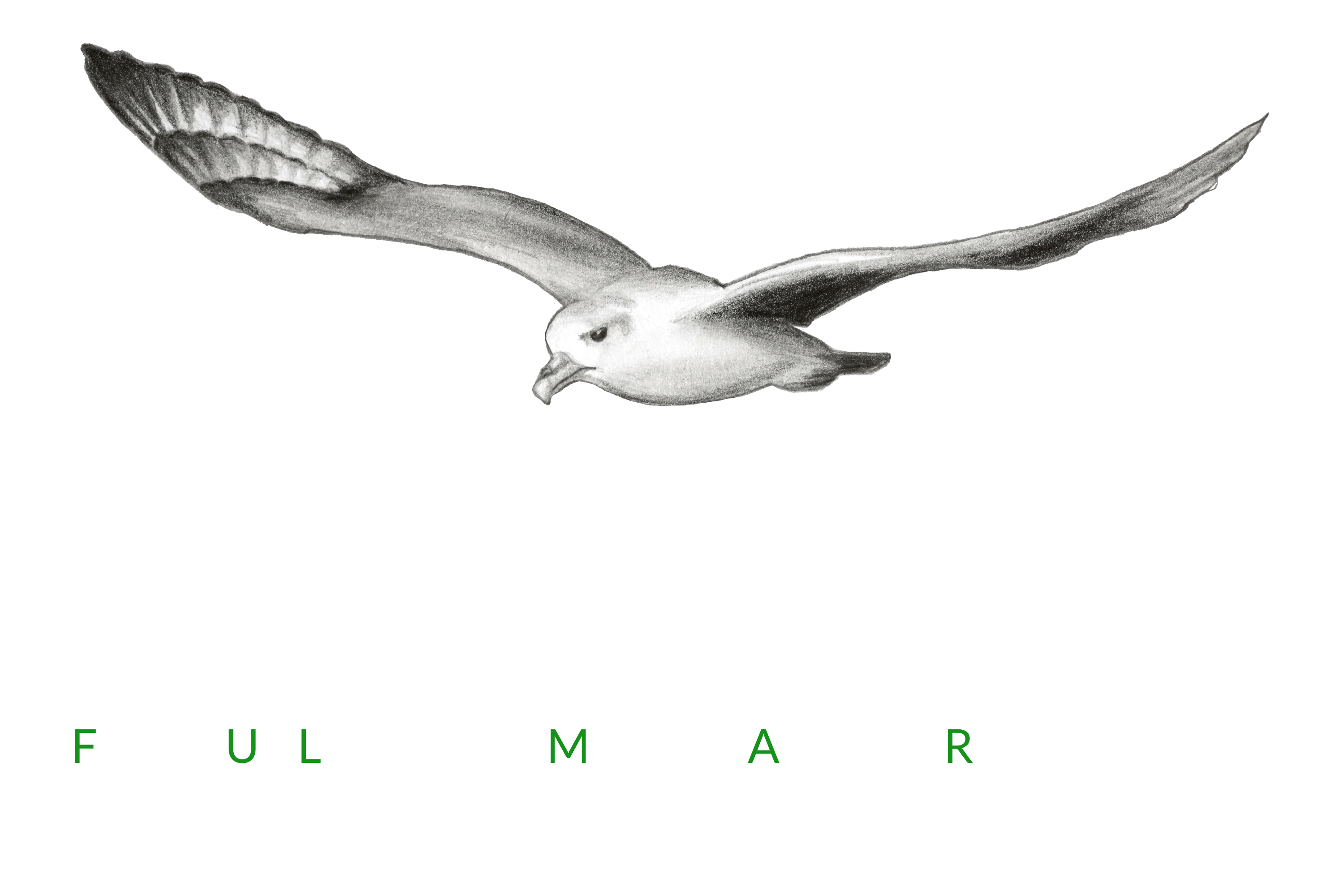 _images/FULMAR_logo_title_dark_mode.png