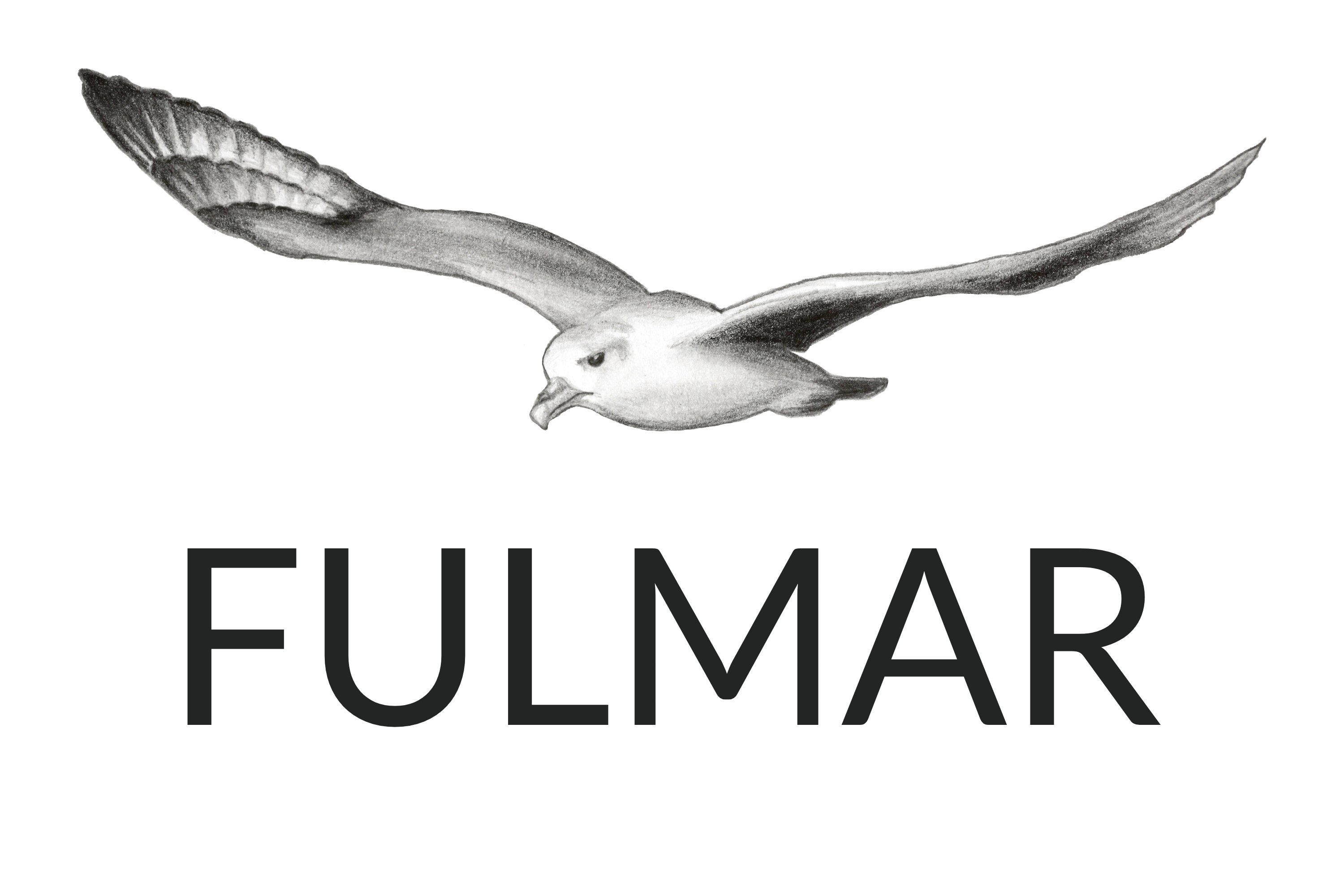 Light Logo