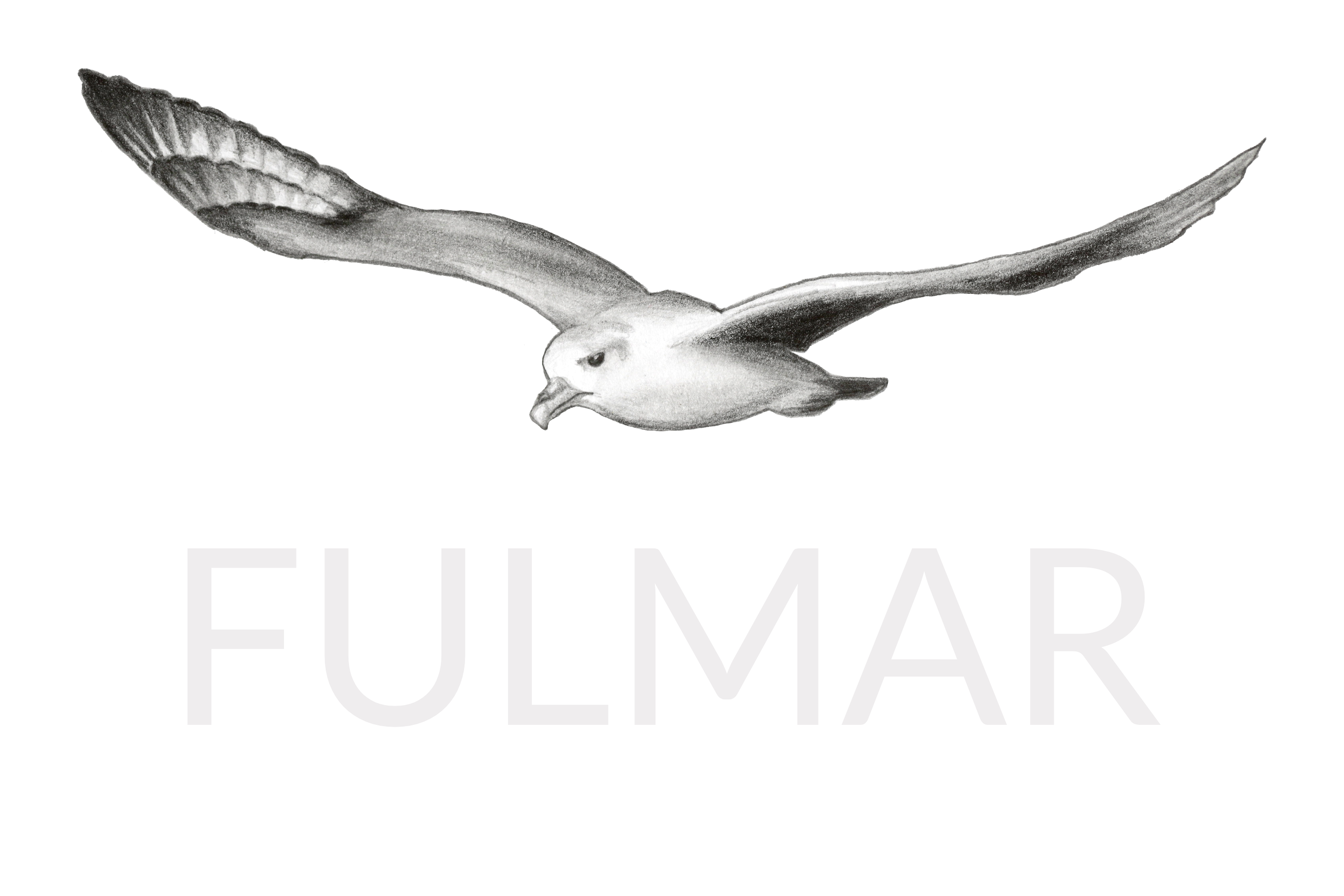 Dark Logo